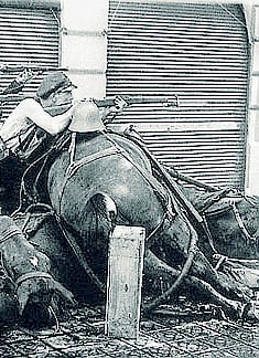 Spanish Civil War mystery solved Spanish Civil War mystery solved