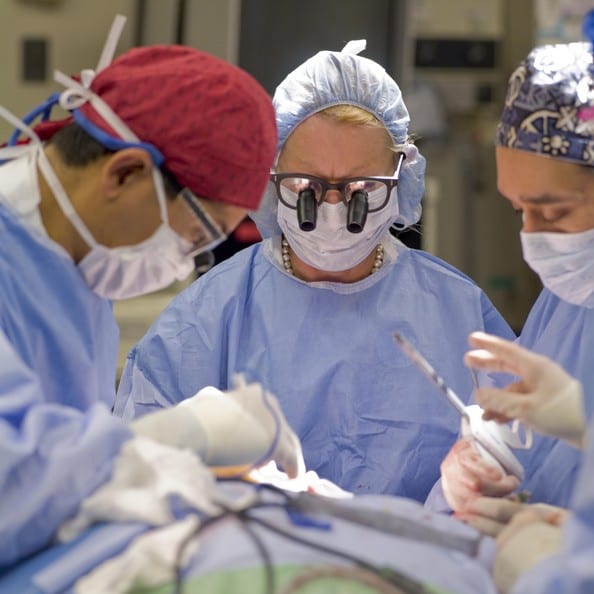Spanish surgeons perform world’s first double leg transplant Spanish surgeons perform world’s first double leg transplant