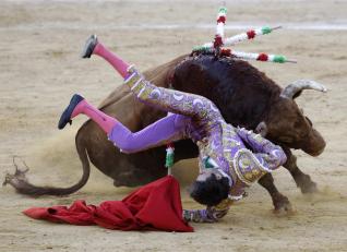 David Beckham of Bullfighting makes triumphant (and lucrative) return in Valencia David Beckham of Bullfighting makes triumphant (and lucrative) return in Valencia
