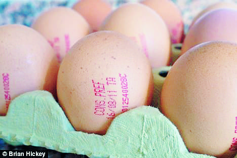 Spanish eggs blamed for salmonella poisoning in UK Spanish eggs blamed for salmonella poisoning in UK