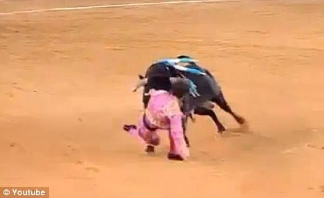 Spanish matador left blind in one eye after being horrifically gored through the head Spanish matador left blind in one eye after being horrifically gored through the head