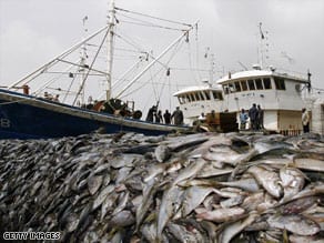 Fishy business in Spain Fishy business in Spain