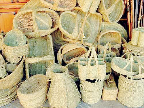 Waste not, want not Waste not, want not