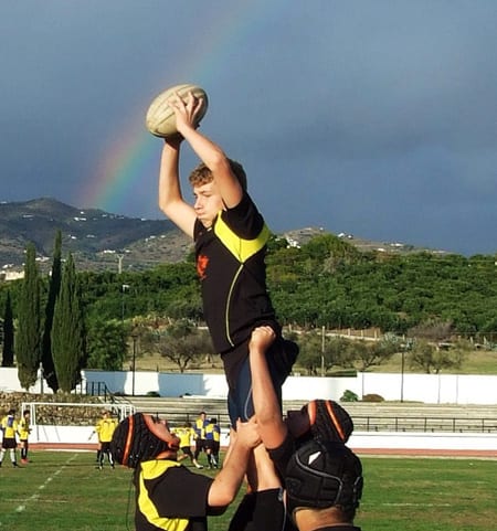 Calling all rugby fans! Calling all rugby fans!