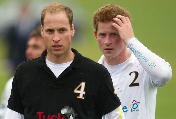 Life’s a boar for Princes William and Harry in Spain Life’s a boar for Princes William and Harry in Spain