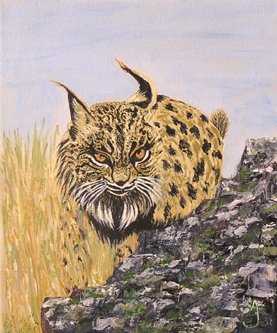 Canvas critters on Costa del Sol Canvas critters on Costa del Sol