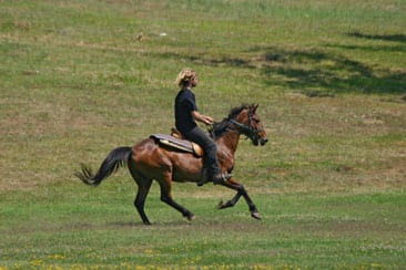 Get off your horse! Get off your horse!