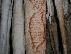 Nerja caves discovery will bring more visitors, it is hoped Nerja caves discovery will bring more visitors, it is hoped