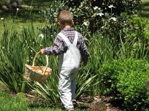 Easter egg hunt at Arboretum Marbella Easter egg hunt at Arboretum Marbella