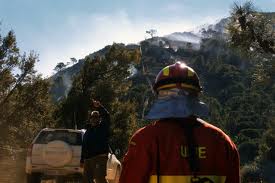 Firefighters started Genal Valley blaze Firefighters started Genal Valley blaze