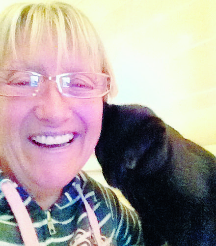 Catnappers on the Costa del Sol Catnappers on the Costa del Sol