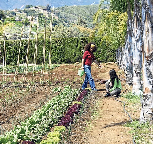 A new Eden in Estepona! A new Eden in Estepona!