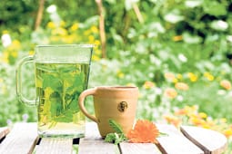 Herbal help for hay fever Herbal help for hay fever