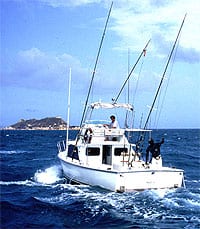 A fishy business in Gibraltar