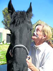 My mare has saved my life My mare has saved my life