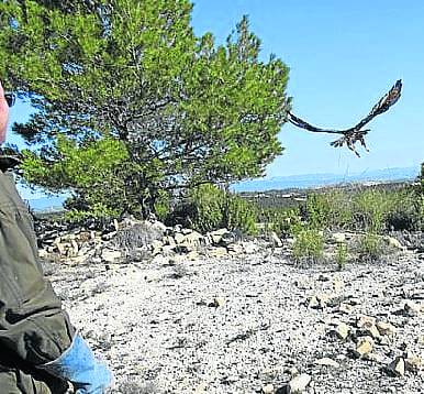 Regal ending for Spanish bird of prey Regal ending for Spanish bird of prey