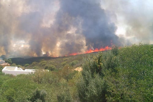 Torreguadiaro blaze tears through 100 hectares Torreguadiaro blaze tears through 100 hectares