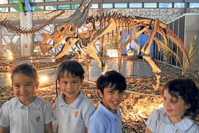T-Rex terrorises Marbella school pupils T-Rex terrorises Marbella school pupils