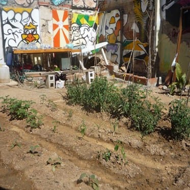 Urban garden movement blooms in Spain Urban garden movement blooms in Spain