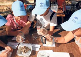 What to do with the kids this summer… thumbnail