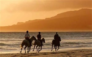 Andalucians told to stay home this summer Andalucians told to stay home this summer