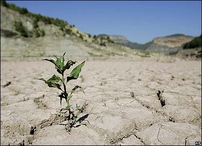 Spain in danger of ‘chronic drought’ Spain in danger of ‘chronic drought’