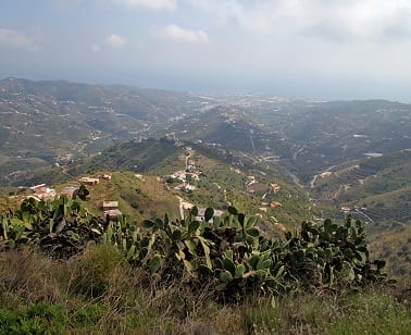 Briton falls to death in Torrox Briton falls to death in Torrox
