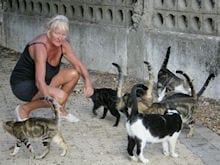 Tortured cats given new home Tortured cats given new home