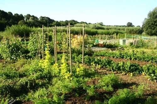 Green scheme for pensioners in Spain Green scheme for pensioners in Spain