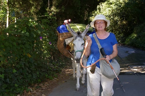 Donkey trek Donkey trek