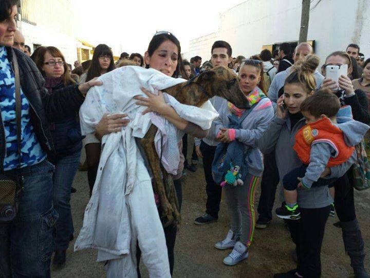 PITIFUL: Protests against ‘animal Auschwitz’ lead to salvation and big clean up PITIFUL: Protests against ‘animal Auschwitz’ lead to salvation and big clean up