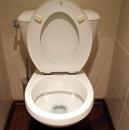 Woman seriously burnt by exploding toilet Woman seriously burnt by exploding toilet