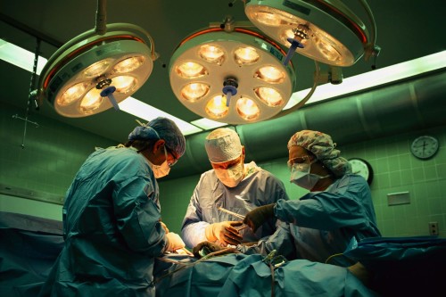 Human organ trafficking ring busted in Valencia Human organ trafficking ring busted in Valencia
