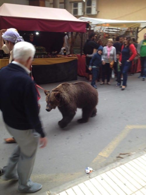 Dancing bear spotted at Murcia medieval market Dancing bear spotted at Murcia medieval market