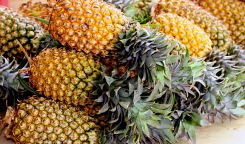 Cocaine-filled pineapples found on ship arriving in Algeciras Cocaine-filled pineapples found on ship arriving in Algeciras