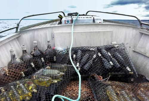 ‘Underwater wines’ make a splash in Costa del Sol ‘Underwater wines’ make a splash in Costa del Sol