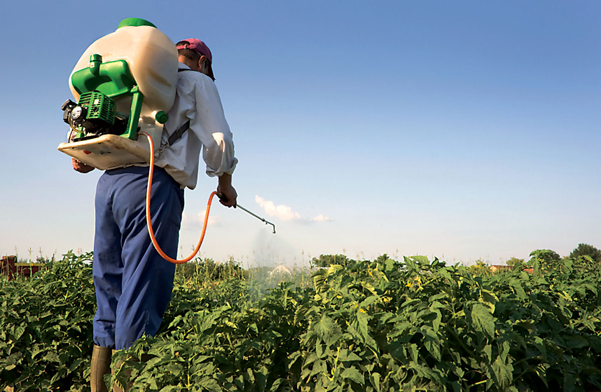 NGOs say no to poisonous pesticides in Spain NGOs say no to poisonous pesticides in Spain