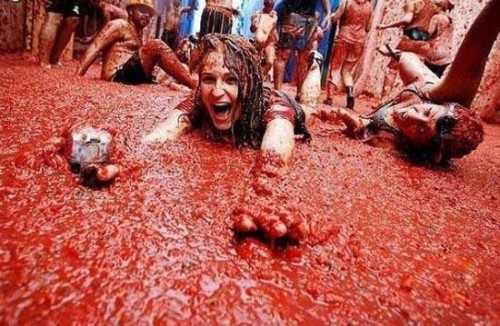 Tomatina ready to kick off: Let the chaos begin Tomatina ready to kick off: Let the chaos begin