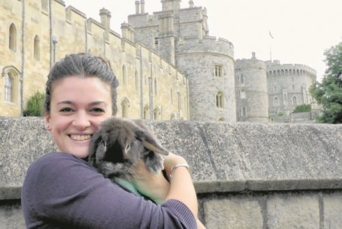 Homecoming rabbit travels from Malaga to Windsor for charity Homecoming rabbit travels from Malaga to Windsor for charity