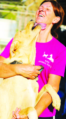 Animal Rescue S.O.S Animal Rescue S.O.S