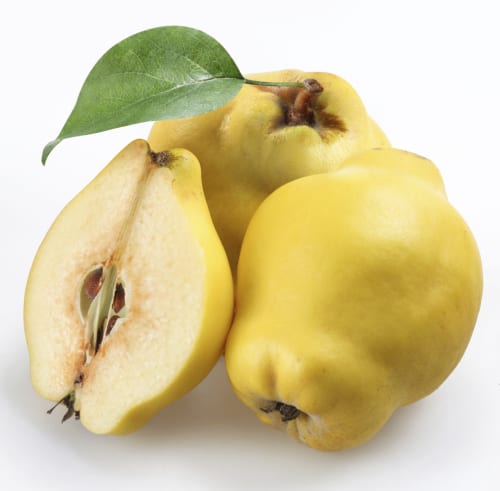 Quince: The bittersweet fruit Quince: The bittersweet fruit