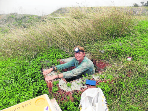 Expats heroically rescue abandoned puppies from storm drain Expats heroically rescue abandoned puppies from storm drain