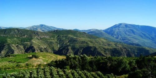 Protect Andalucia Protect Andalucia