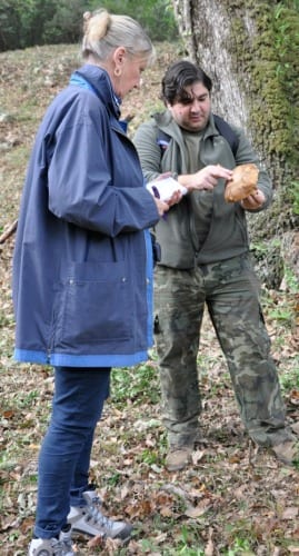 Foraging for fungi Foraging for fungi