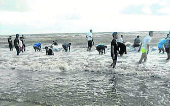 Beachcombers scoop up 2,000 kilos of hashish in Cadiz Beachcombers scoop up 2,000 kilos of hashish in Cadiz