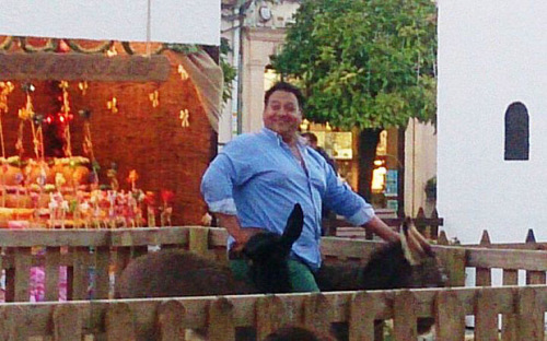 Nativity donkey ‘squashed to death’ in Cordoba Nativity donkey ‘squashed to death’ in Cordoba