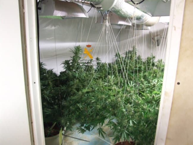 British drug gang dismantled in Malaga British drug gang dismantled in Malaga