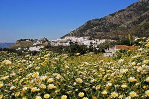 Spectacular Mijas