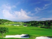 Swing in golfers in Spain