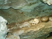 Ancient Spanish tomb containing human remains reveals Stone Age burial secrets